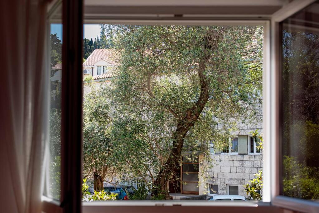 Lapad Cove Daire Dubrovnik Dış mekan fotoğraf